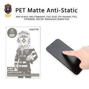 MSP - PET ANTI-STATIC - MATTE - 12×18cm