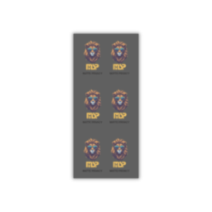 MSP - PET - MATTE PRIVACY - 0.45mm - 9×20cm