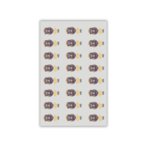 MSP - PET - HD - 0.38mm - 31×20cm