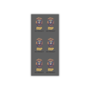 MSP - PET - HD PRIVACY - 0.45mm - 9×20cm